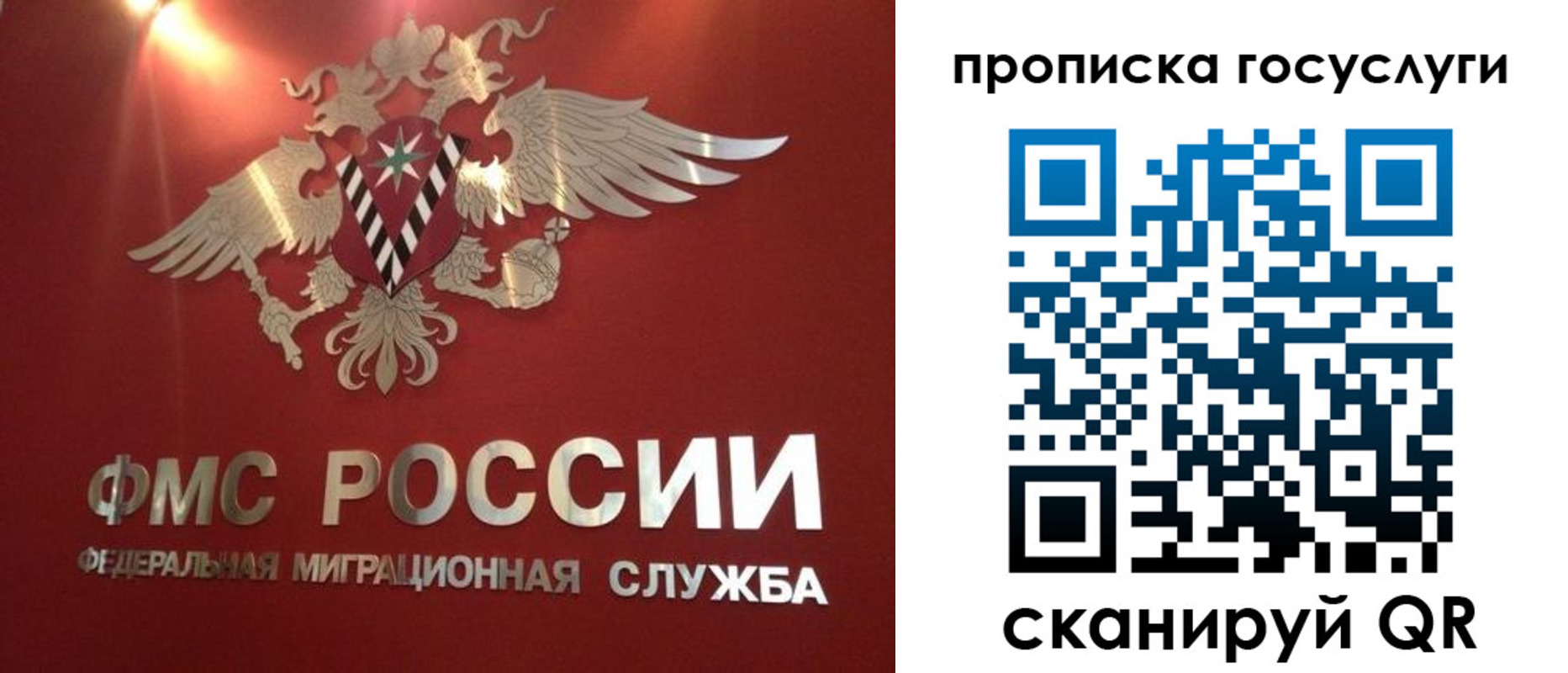 временная регистрация для всех в Новом Осколе