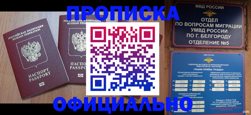 найти адрес прописки в Новом Осколе